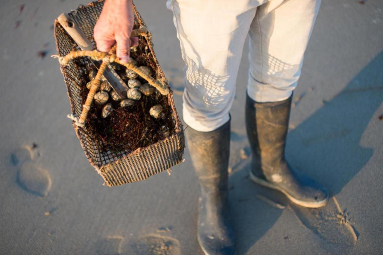 Maison Bord De Mer A Noirmoutier バルバトル エクステリア 写真